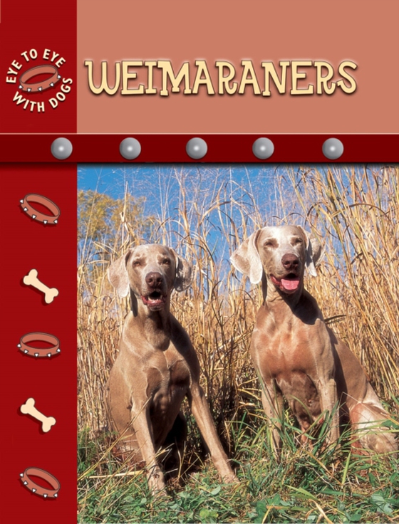 Weimaraners (e-bog) af Stone, Lynn