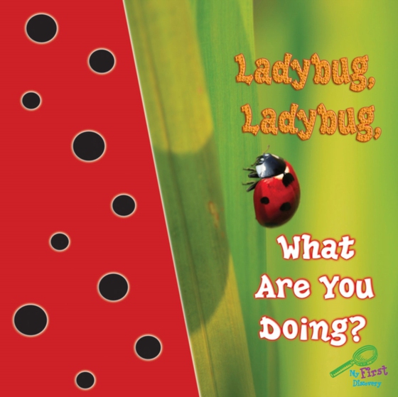 Ladybug, Ladybug, What Are You Doing?