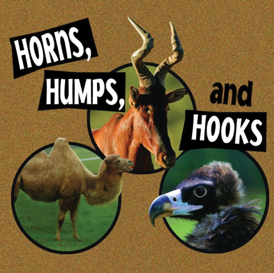 Horns, Humps, and Hooks (e-bog) af Stone, Lynn