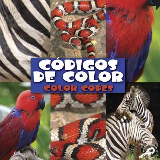 Codigos de color