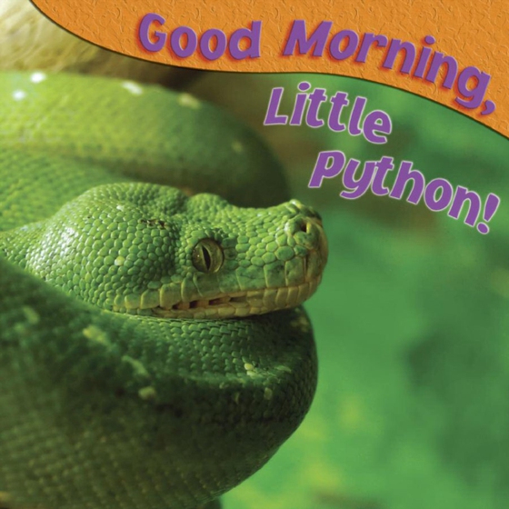 Good Morning, Little Python!