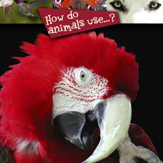 How Do Animals Use...? (e-bog) af Mitten, Luana