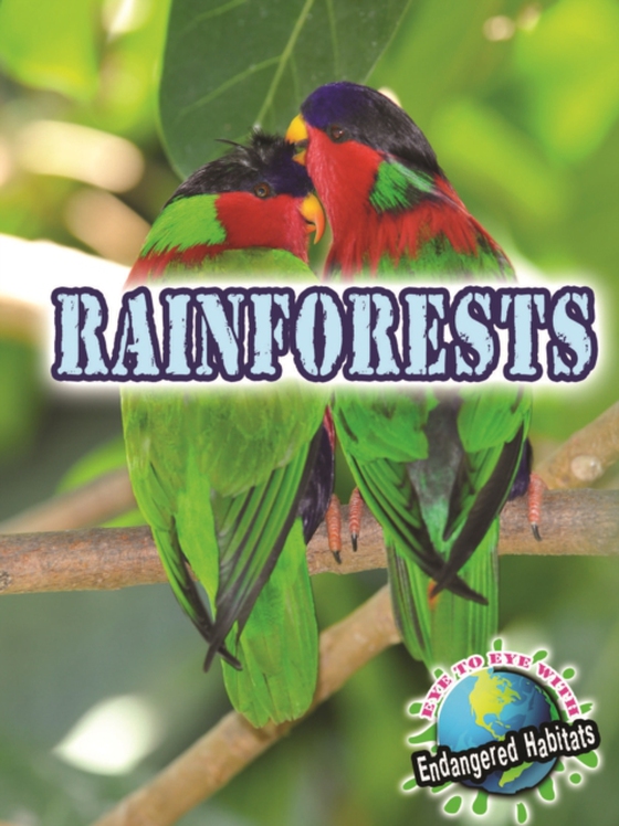 Rainforests