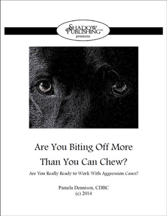 ARE YOU BITING OFF MORE THAN YOU CAN CHEW? (e-bog) af Pamela Dennison