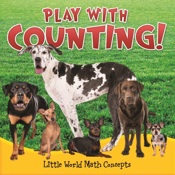 Play With Counting! (e-bog) af Webb, Barbara