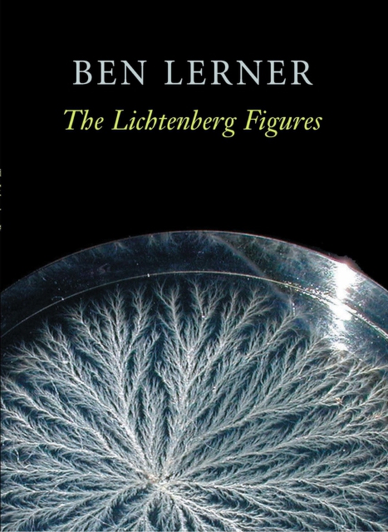 Lichtenberg Figures (e-bog) af Lerner, Ben