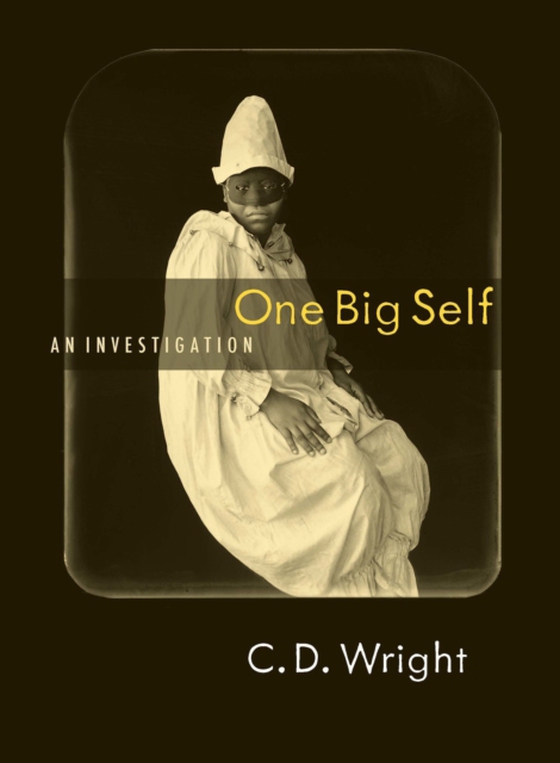 One Big Self (e-bog) af Wright, C.D.