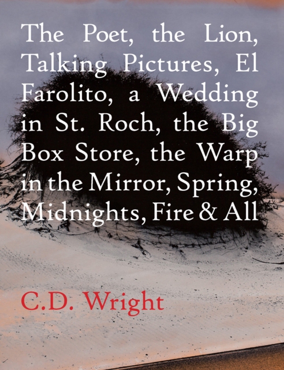 Poet, The Lion, Talking Pictures, El Farolito, A Wedding in St. Roch, The Big Box Store, The Warp in the Mirror, Spring, Midnights, Fire & All (e-bog) af Wright, C.D.