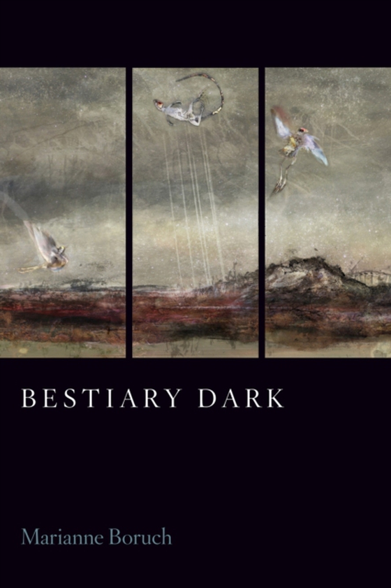 Bestiary Dark (e-bog) af Boruch, Marianne