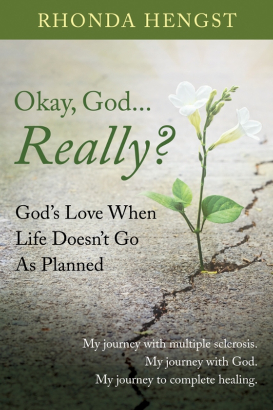 Okay, God... Really? (e-bog) af Rhonda Hengst