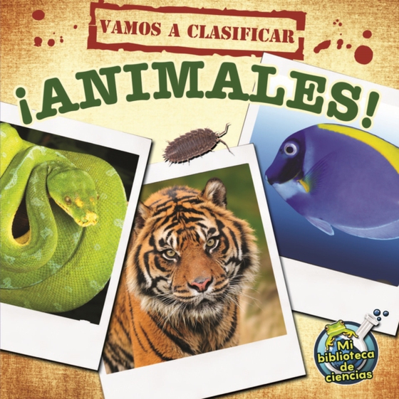 Vamos a clasificar animales (e-bog) af Hicks, Kelli