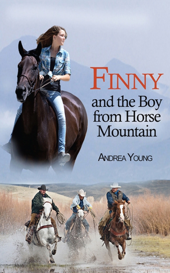 Finny and the Boy from Horse Mountain (e-bog) af Young, Andrea