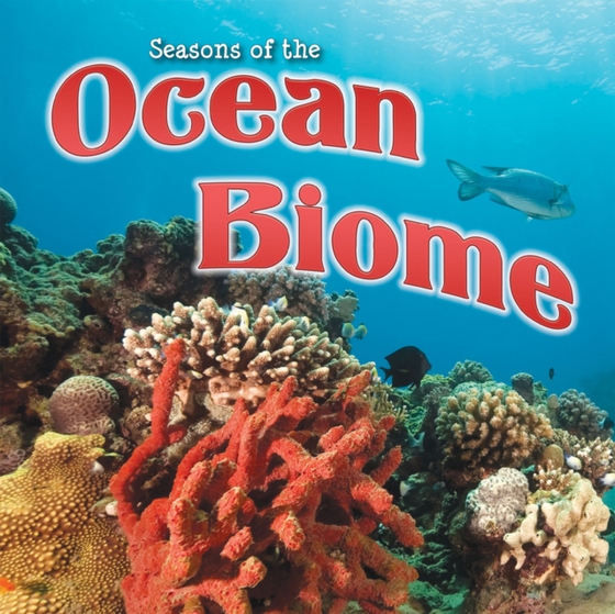 Seasons Of The Ocean Biome (e-bog) af Duke, Shirley