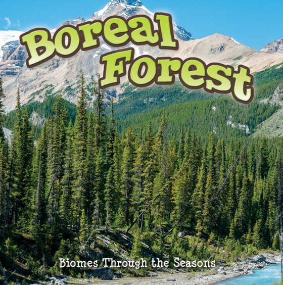 Seasons Of The Boreal Forest Biome