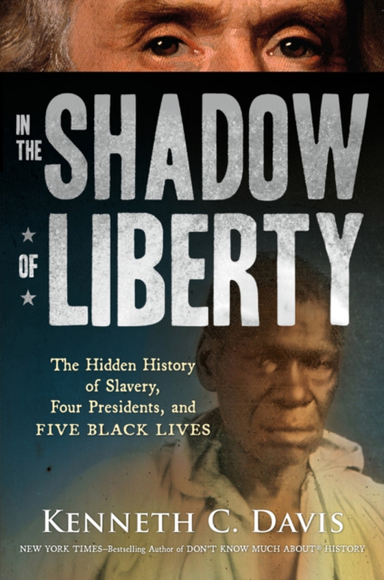 In the Shadow of Liberty (e-bog) af Davis, Kenneth C.