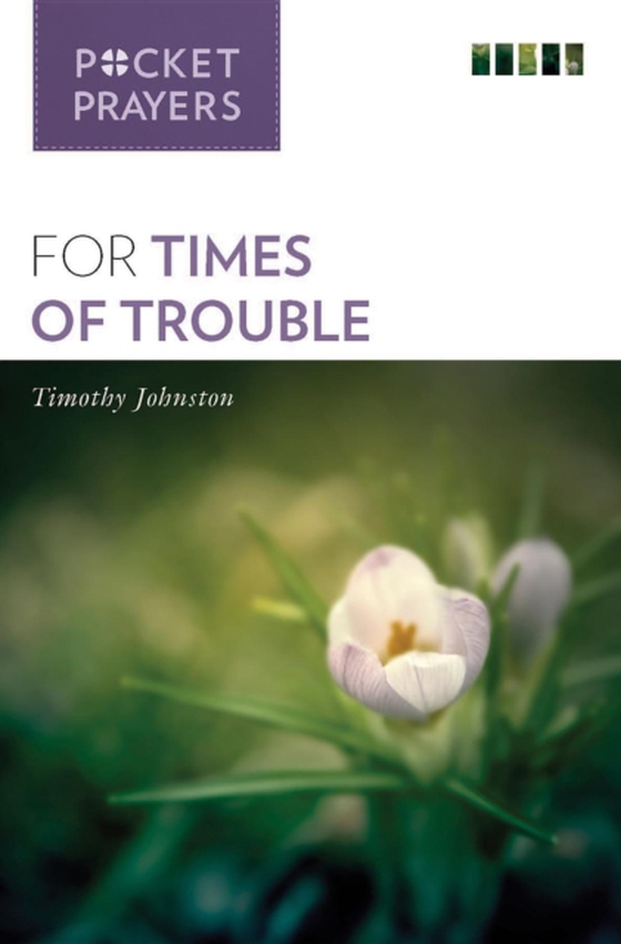 Pocket Prayers for Times of Trouble (e-bog) af Johnston, Timothy