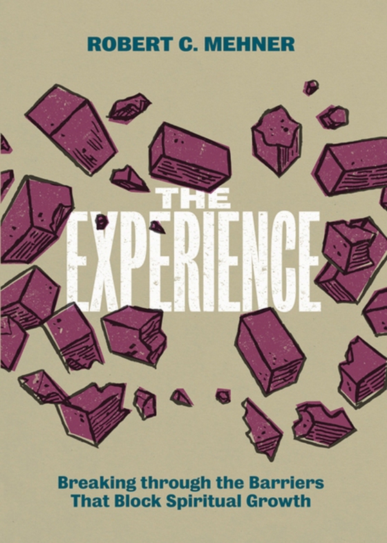 Experience (e-bog) af Robert C. Mehner