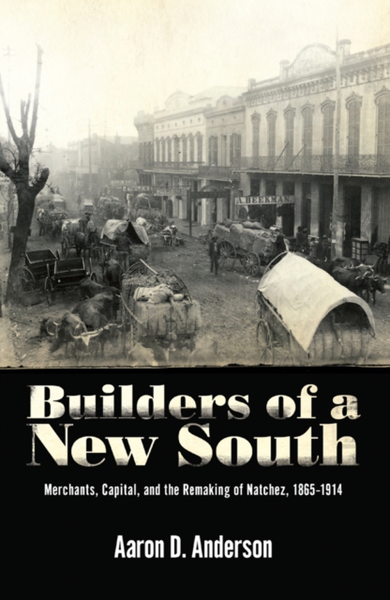 Builders of a New South (e-bog) af Anderson, Aaron D.