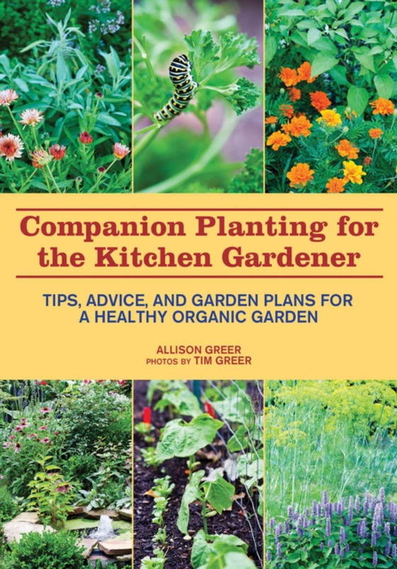 Companion Planting for the Kitchen Gardener (e-bog) af Greer, Allison