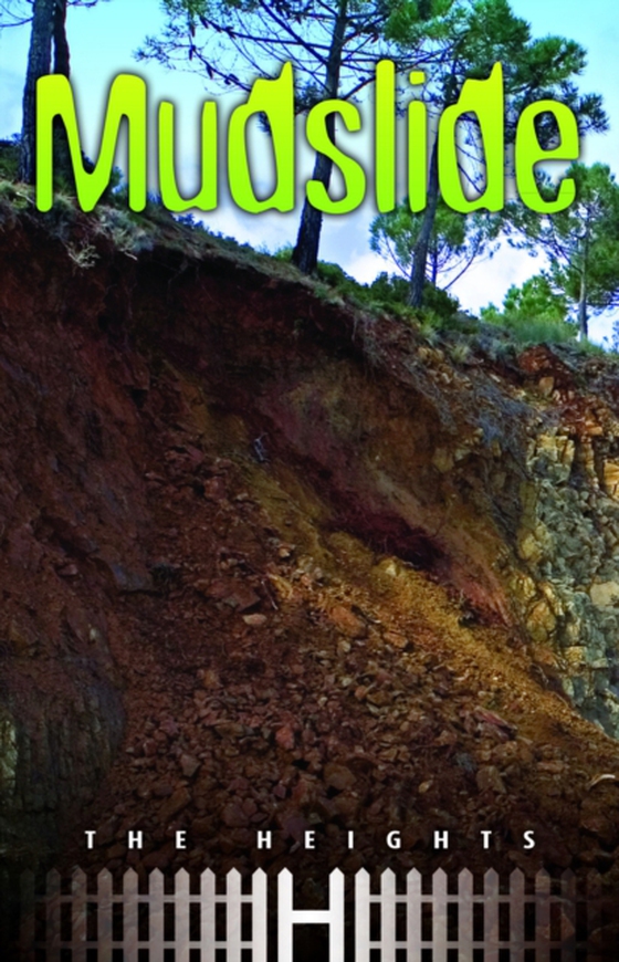 Mudslide (e-bog) af -