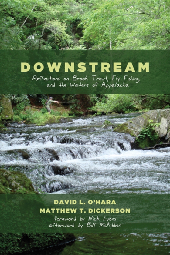 Downstream (e-bog) af Dickerson, Matthew T.