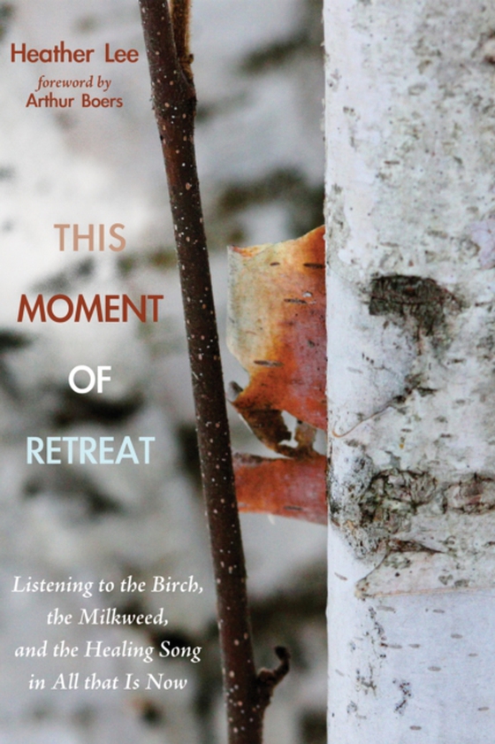 This Moment of Retreat