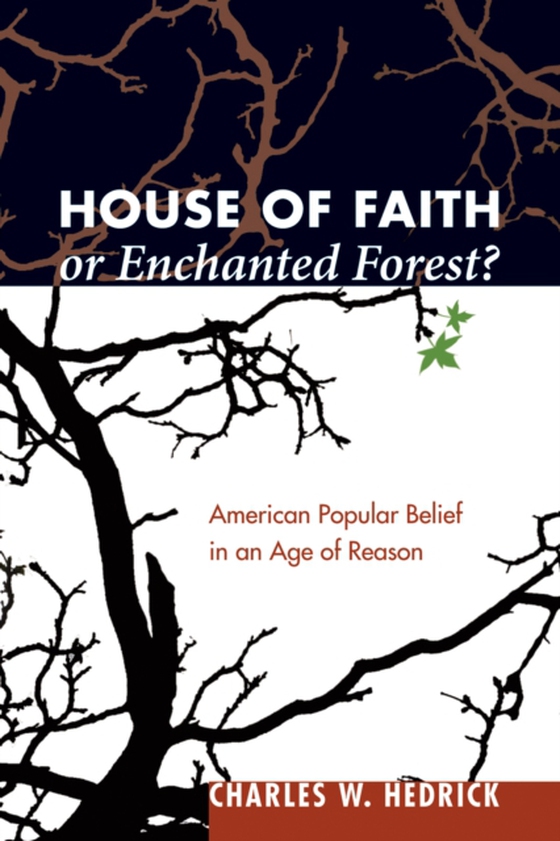 House of Faith or Enchanted Forest? (e-bog) af Hedrick, Charles W.