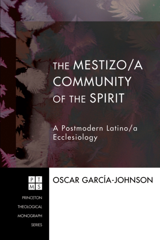 Mestizo/a Community of the Spirit (e-bog) af Garcia-Johnson, Oscar