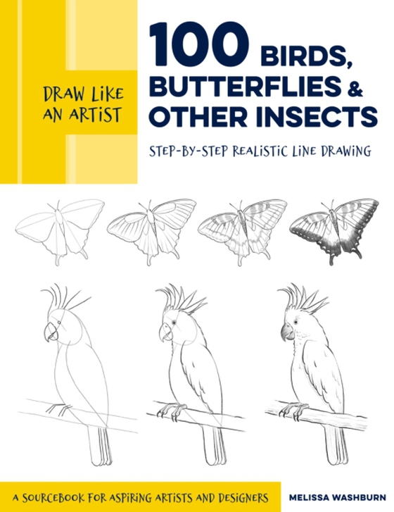 Draw Like an Artist: 100 Birds, Butterflies, and Other Insects (e-bog) af Washburn, Melissa