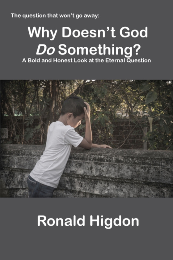 Why Doesn't God Do Something? (e-bog) af Higdon, Ronald