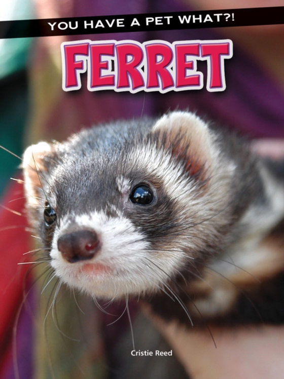 Ferret (e-bog) af Reed, Cristie