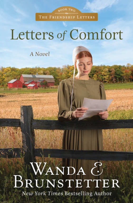 Letters of Comfort (e-bog) af Brunstetter, Wanda E.