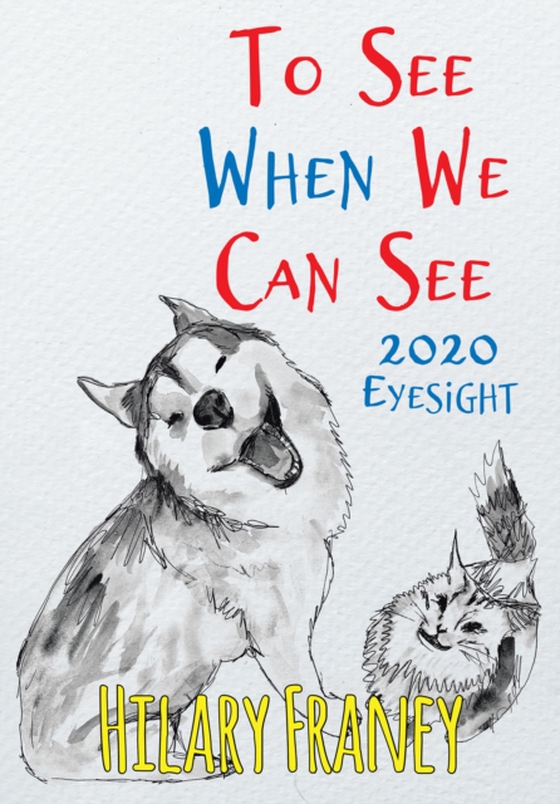 To See When We Can See (e-bog) af Franey, Hilary