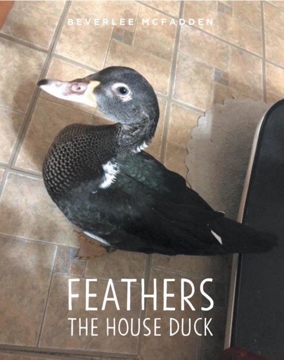 Feathers the House Duck