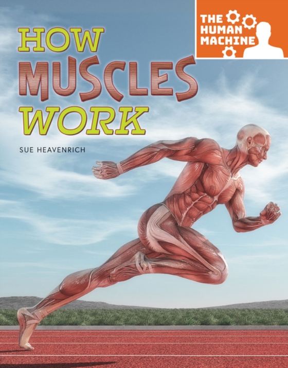 How Muscles Work (e-bog) af Heavenrich, Sue