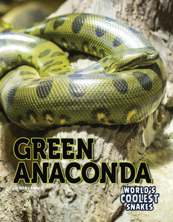 Green Anaconda (e-bog) af Canasi, Brittany