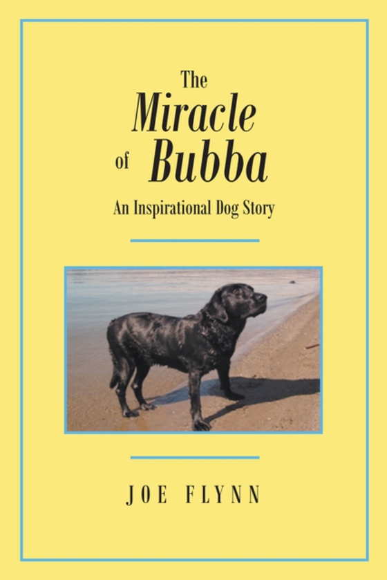 Miracle of Bubba (e-bog) af Flynn, Joe