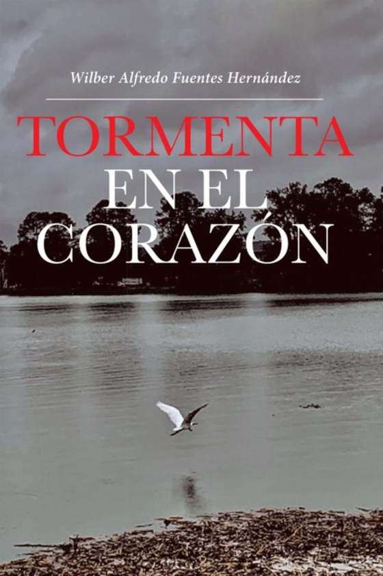 Tormenta En El Corazón (e-bog) af Hernndez, Wilber Alfredo Fuentes