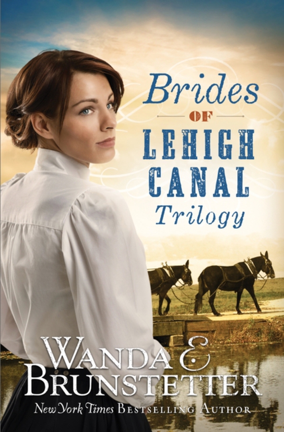 Brides of Lehigh Canal Trilogy (e-bog) af Brunstetter, Wanda E.