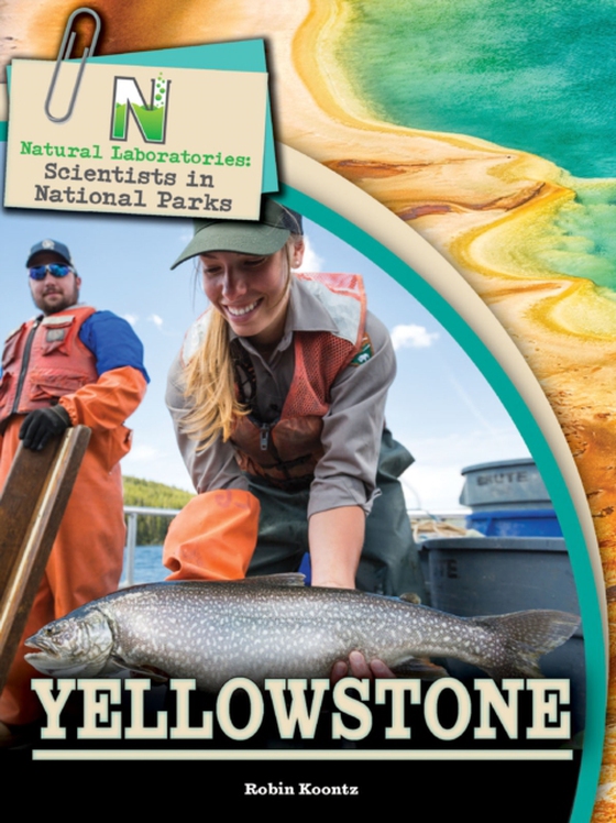 Natural Laboratories: Scientists in National Parks Yellowstone (e-bog) af Koontz, Robin