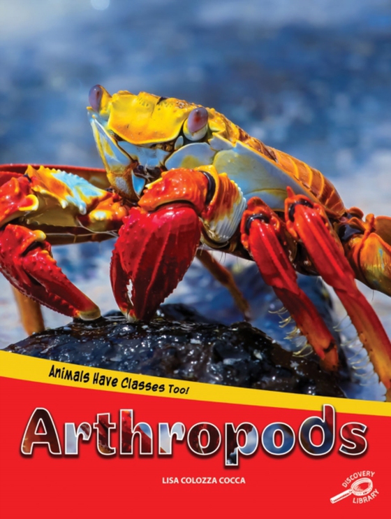 Animals Have Classes Too! Arthropods