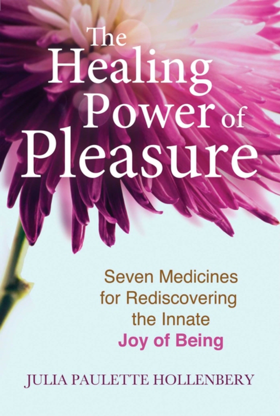 Healing Power of Pleasure (e-bog) af Hollenbery, Julia Paulette