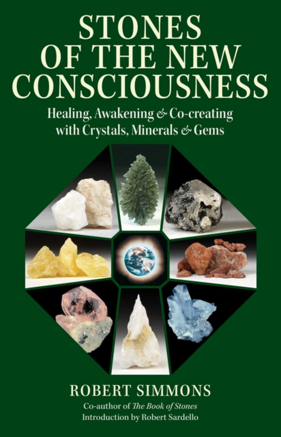 Stones of the New Consciousness (e-bog) af Simmons, Robert