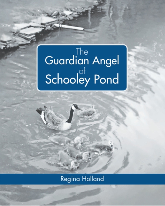 Guardian Angel of Schooley Pond (e-bog) af Holland, Regina