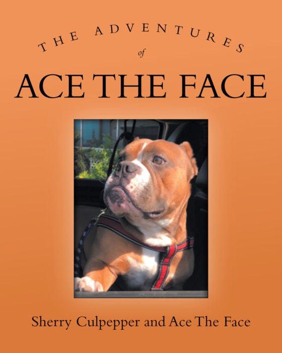 Adventures of Ace The Face