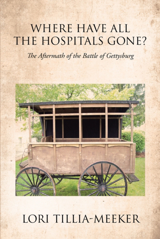 Where Have All the Hospitals Gone? (e-bog) af Tillia-Meeker, Lori