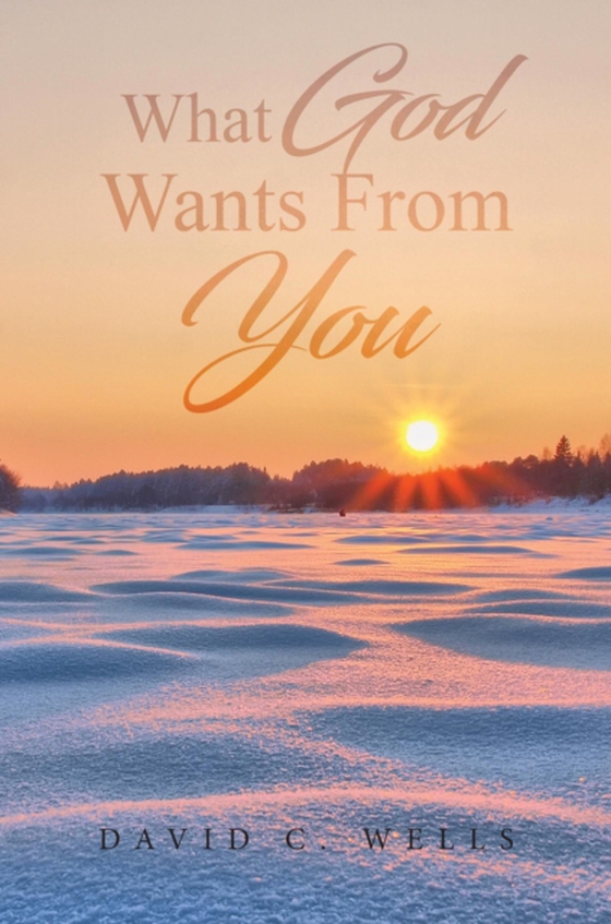 What God Wants From You (e-bog) af Wells, David C.