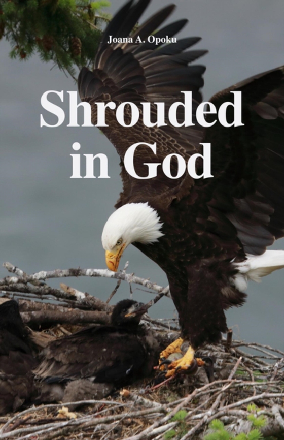 Shrouded in God