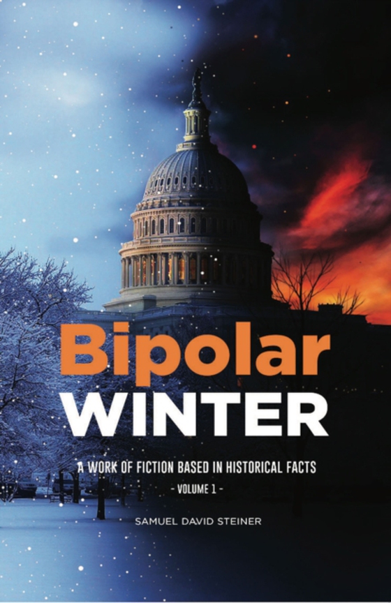 Bipolar WINTER (e-bog) af Steiner, Samuel David