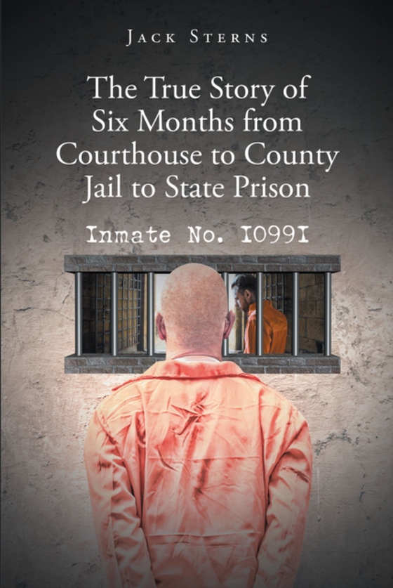 True Story of Six Months from Courthouse to County Jail to State Prison (e-bog) af Sterns, Jack